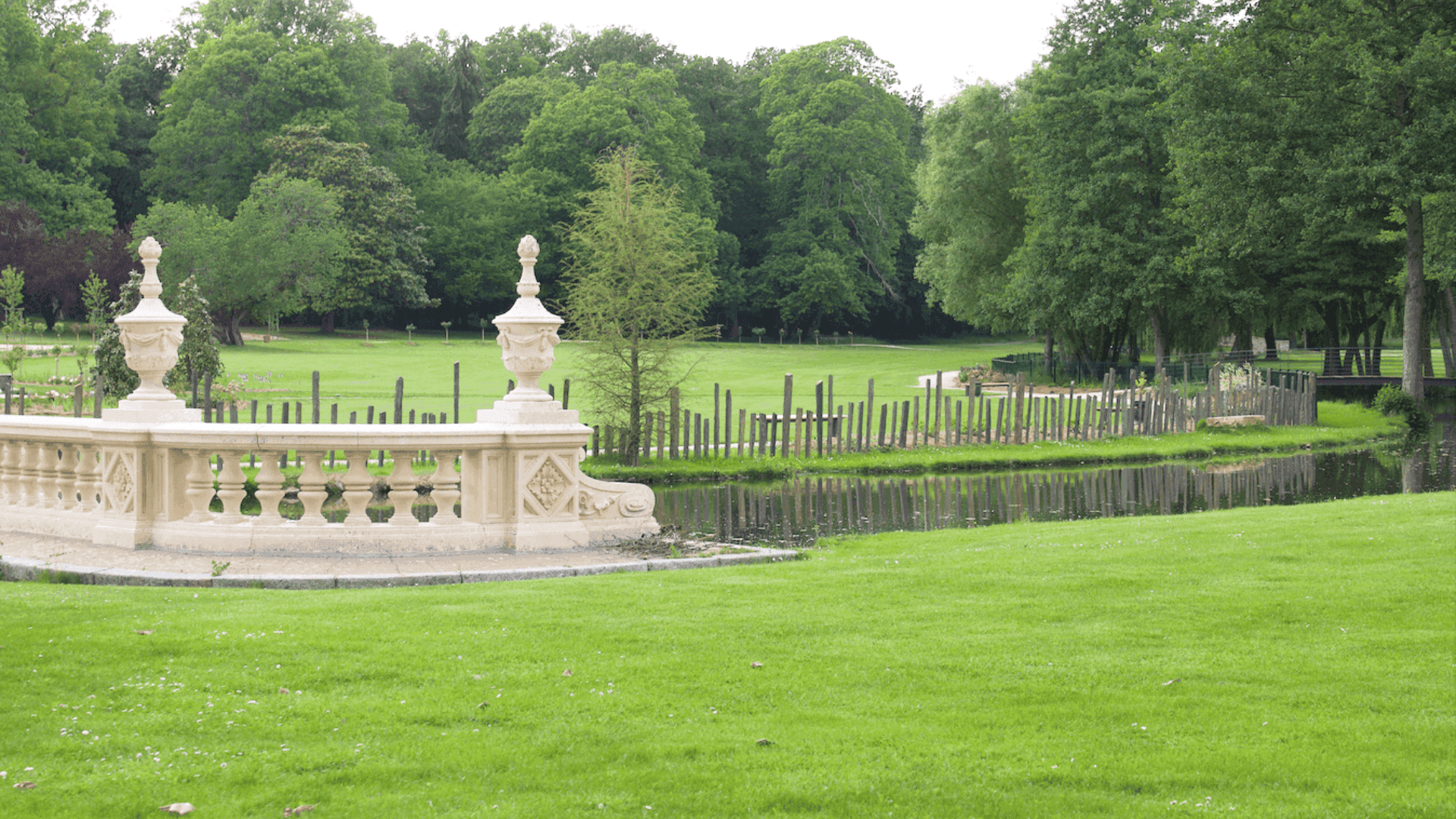 Allée verdoyante traversant le parc boisé du domaine de Marson.
